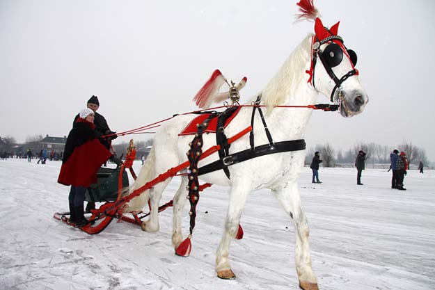 Paardenspektakel op ijsbaan Vlietland in Schipluiden - 12 februari 2012