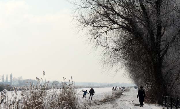 Winter in Midden-Delfland - februari 2012